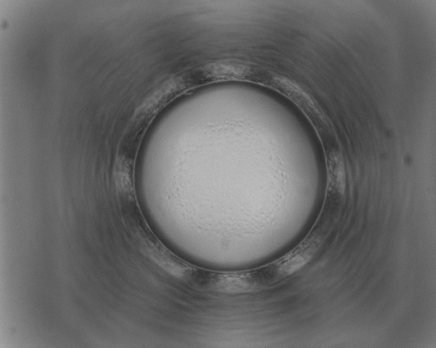 X0000073900573200609011721