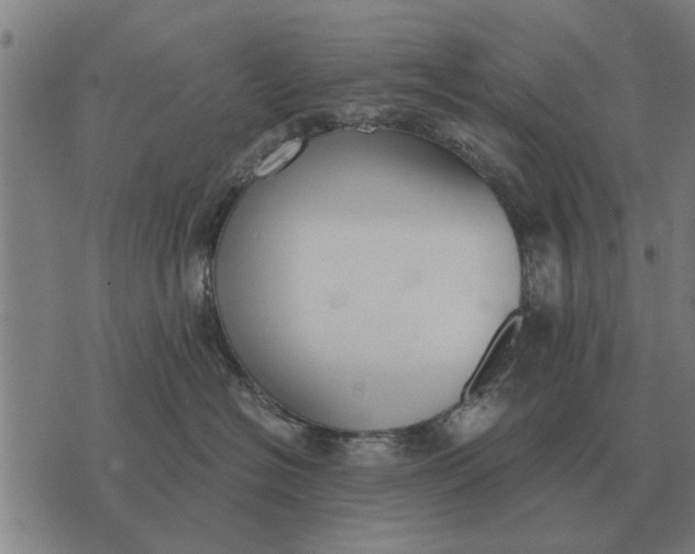 X0000073900574200609011721