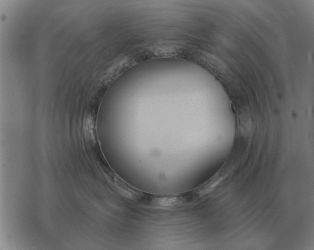 X0000073900575200609011721