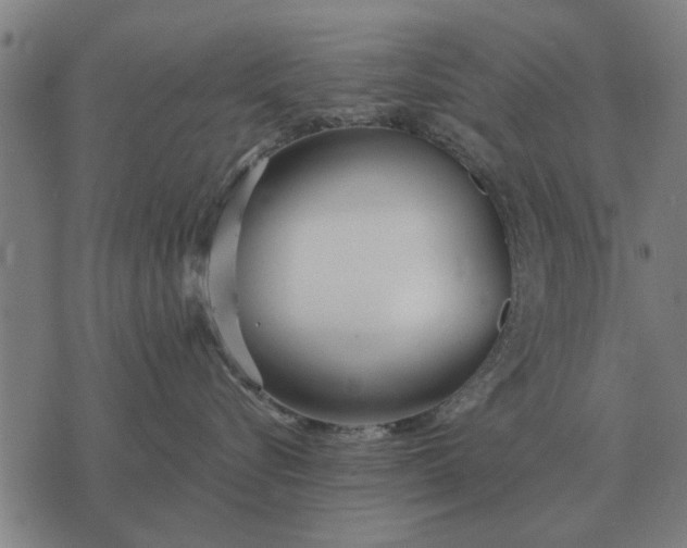 X0000073900576200609011721