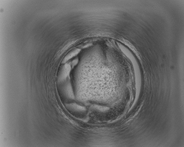 X0000073900577200609011720