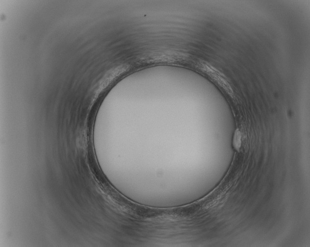 X0000073900578200609011720