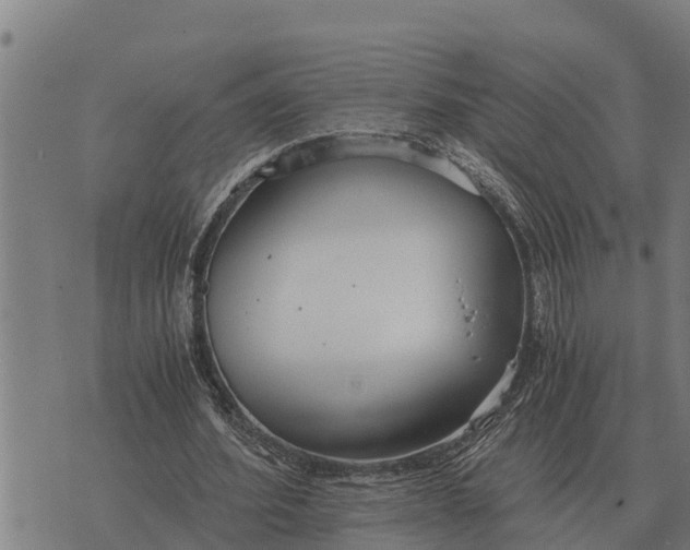 X0000073900580200609011720