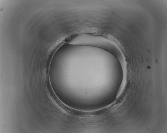 X0000073900581200609011720