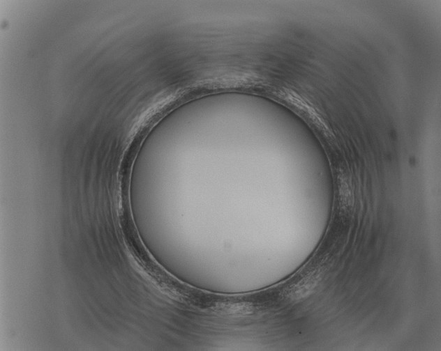 X0000073900582200609011720