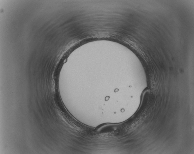 X0000073900584200609011720