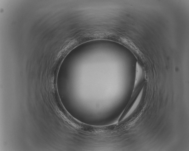 X0000073900585200609011720