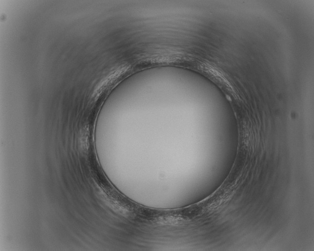 X0000073900586200609011720