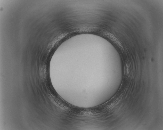 X0000073900588200609011720