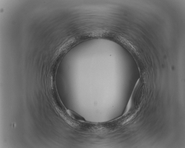 X0000073900589200609011720