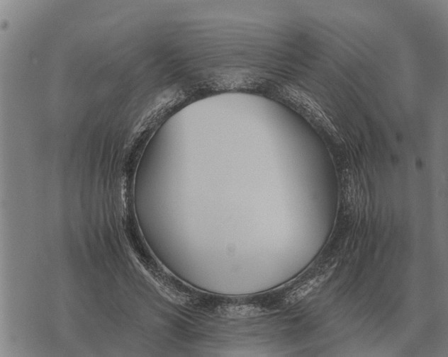 X0000073900590200609011720