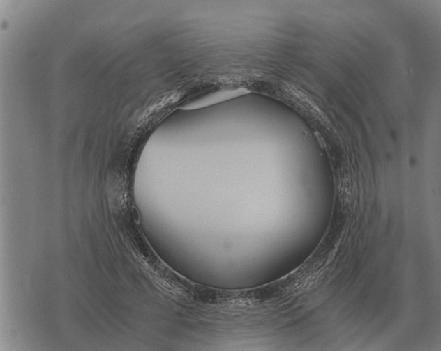 X0000073900593200609011720