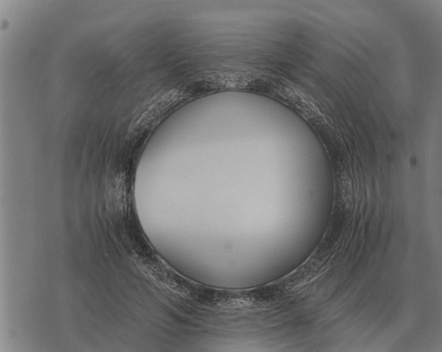 X0000073900594200609011720