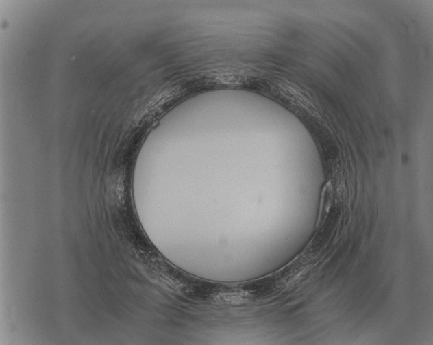 X0000073900595200609011720