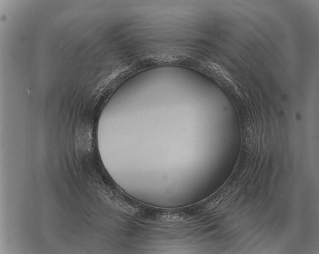 X0000073900596200609011720