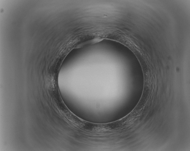 X0000073900597200609011720