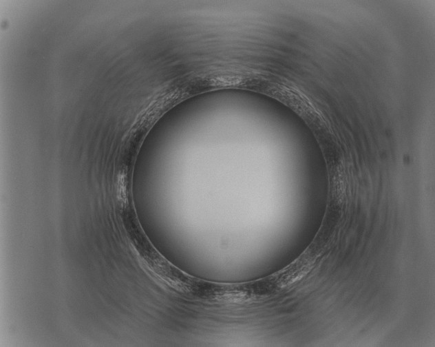 X0000073900598200609011720