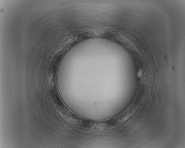 X0000073900599200609011720