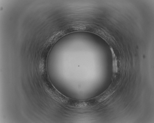 X0000073900600200609011720