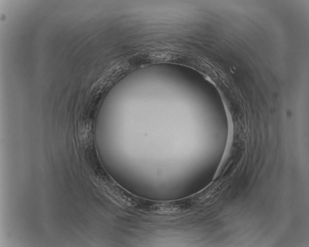 X0000073900601200609011720