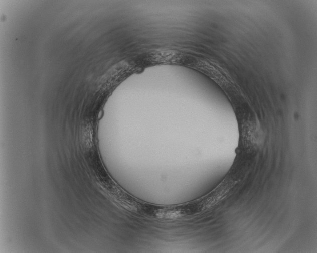 X0000073900602200609011720