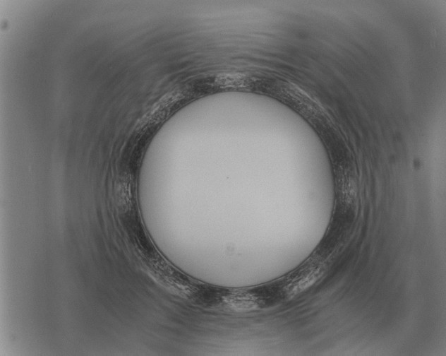 X0000073900603200609011720