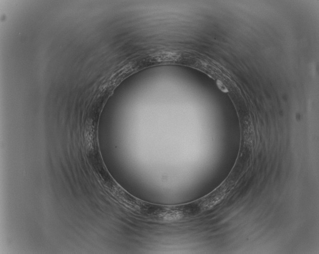 X0000073900604200609011720