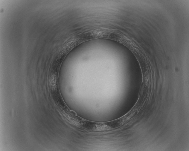 X0000073900605200609011720