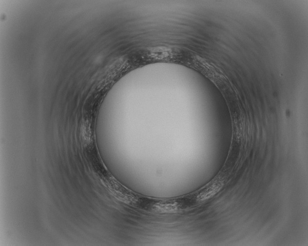 X0000073900606200609011720