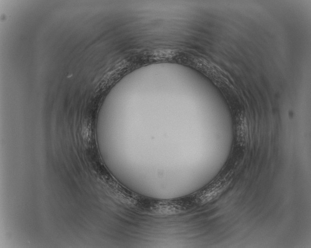 X0000073900608200609011720