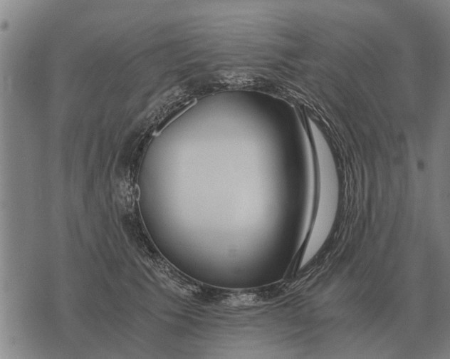 X0000073900609200609011720