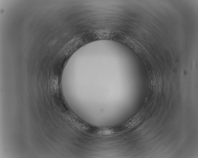 X0000073900610200609011720