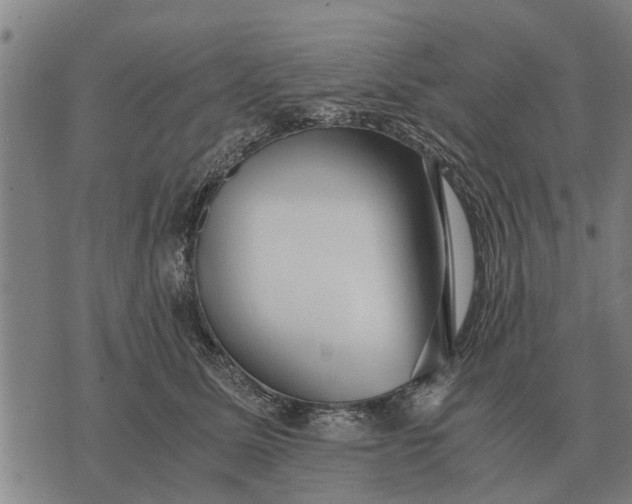 X0000073900611200609011720