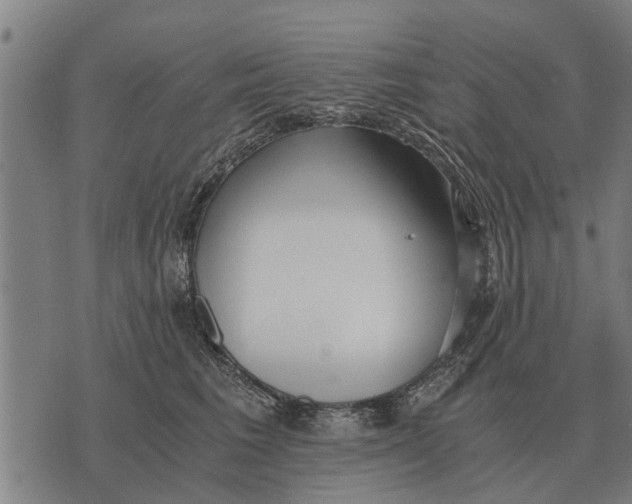 X0000073900613200609011720