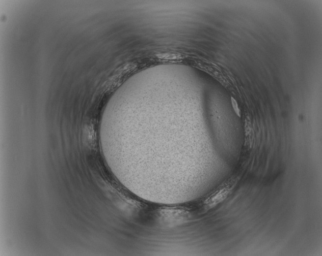 X0000073900614200609011720