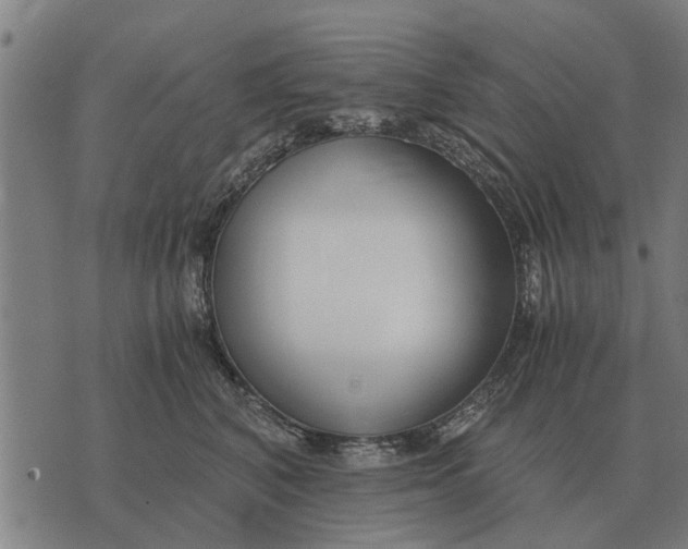 X0000073900616200609011720