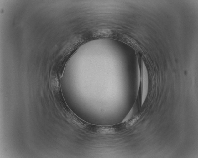 X0000073900617200609011720