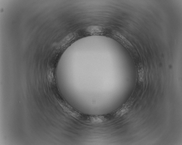 X0000073900618200609011720