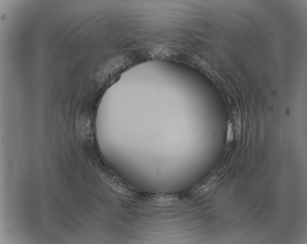 X0000073900619200609011720