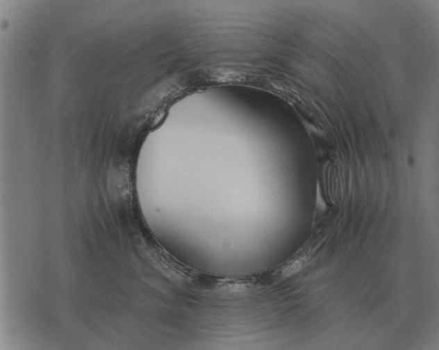 X0000073900620200609011720