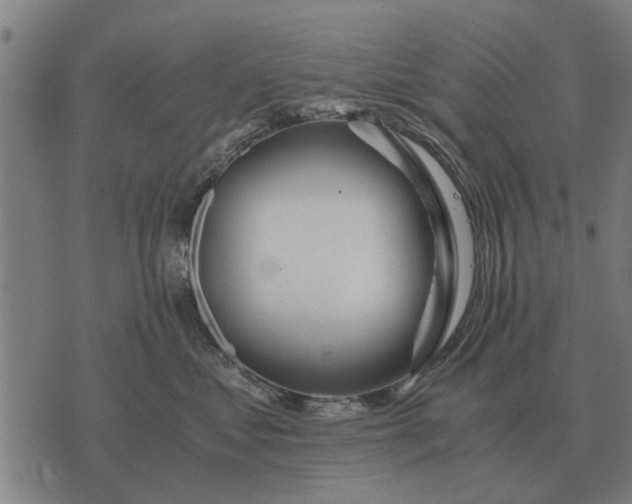 X0000073900621200609011720