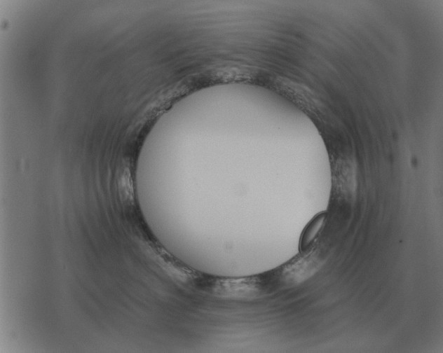 X0000073900622200609011720