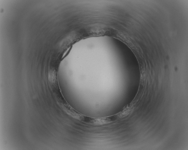 X0000073900623200609011720