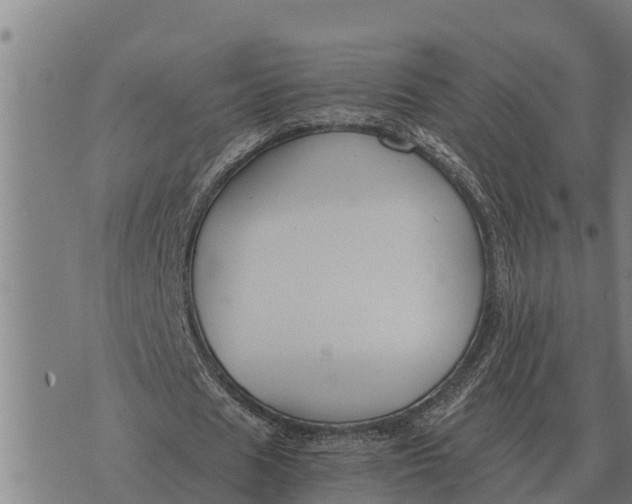 X0000073900625200609011719