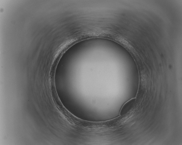 X0000073900626200609011719