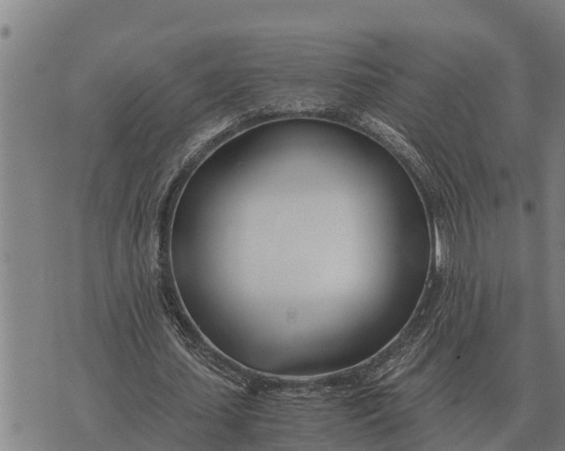 X0000073900627200609011719