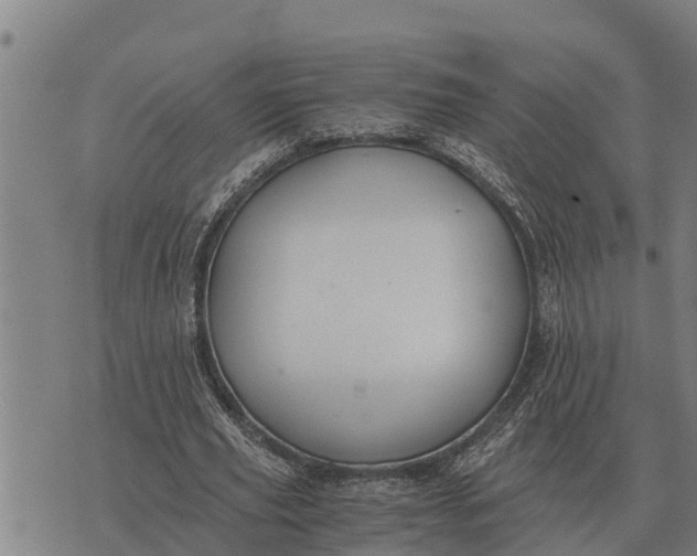 X0000073900629200609011719