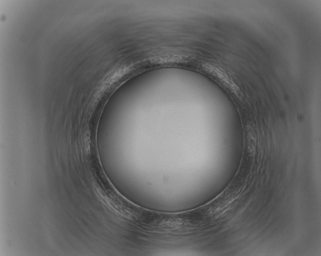 X0000073900631200609011719