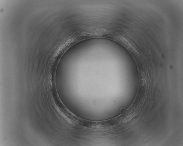 X0000073900634200609011719