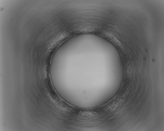 X0000073900635200609011719